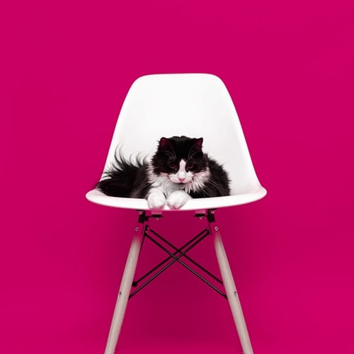 Четвертая новость